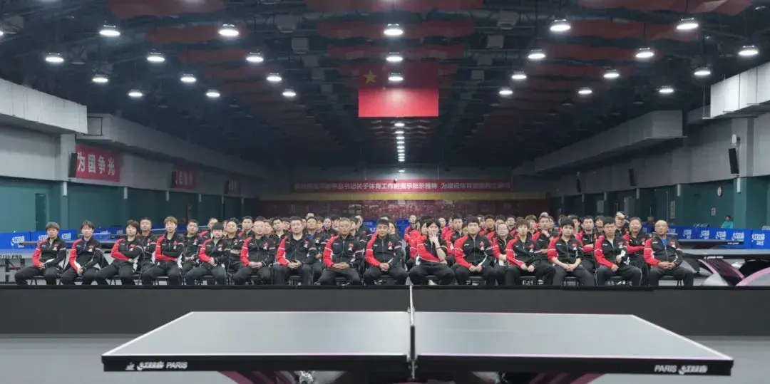 依然是国乒, 突出的, 过了很多赛
