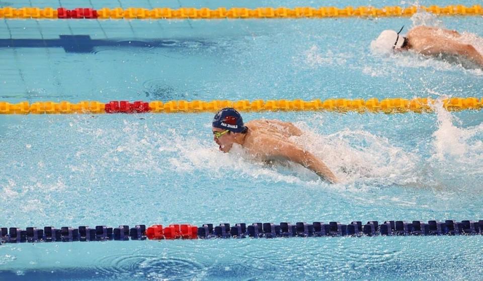 dingy, 预赛回顾 dingy, 预赛回顾